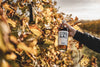 Titelbild der Produktkollektion Brandy der rauchbar Neuss.